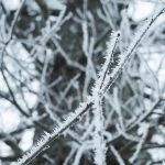 MTC médecine alternative chinoise saisons hiver eau